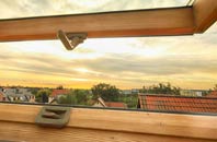rated Boquhapple roof window companies